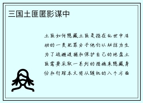 三国土匪匿影谋中